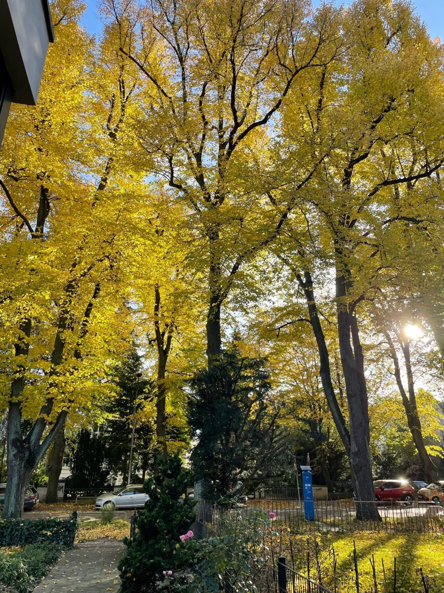 Aparthotel Stadtpark リューベック エクステリア 写真